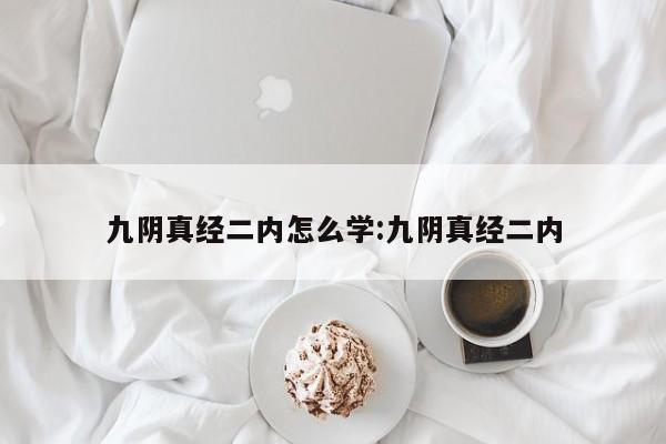 九阴真经二内怎么学:九阴真经二内